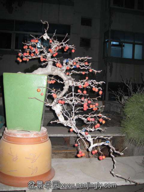 IMG_4766.JPG