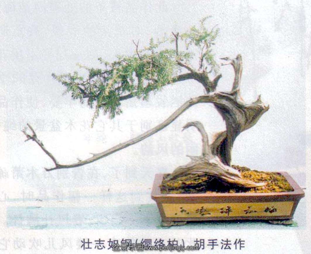 ɽ辰չ-ַ-ӧ.jpg