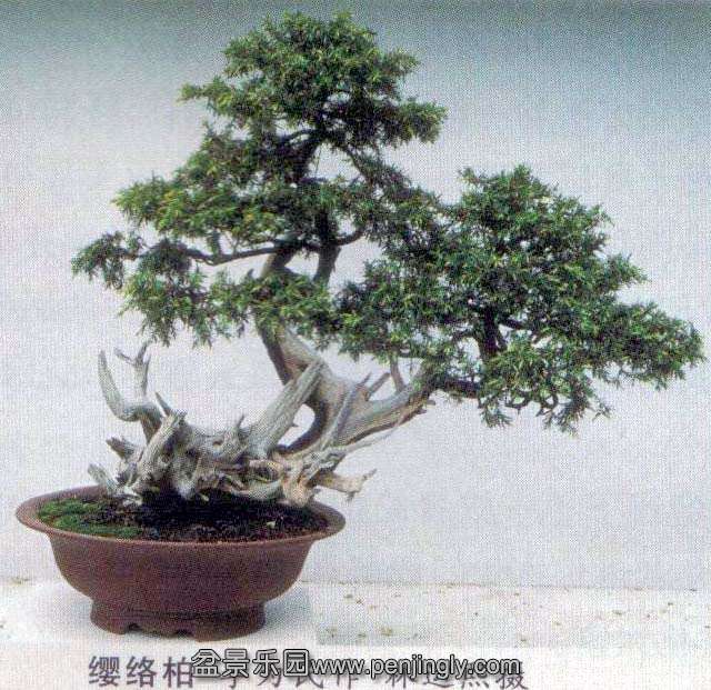Ϊ-ӧ-02-9.jpg