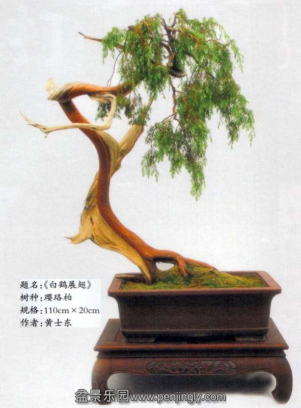 ³辰-ʿ-.jpg