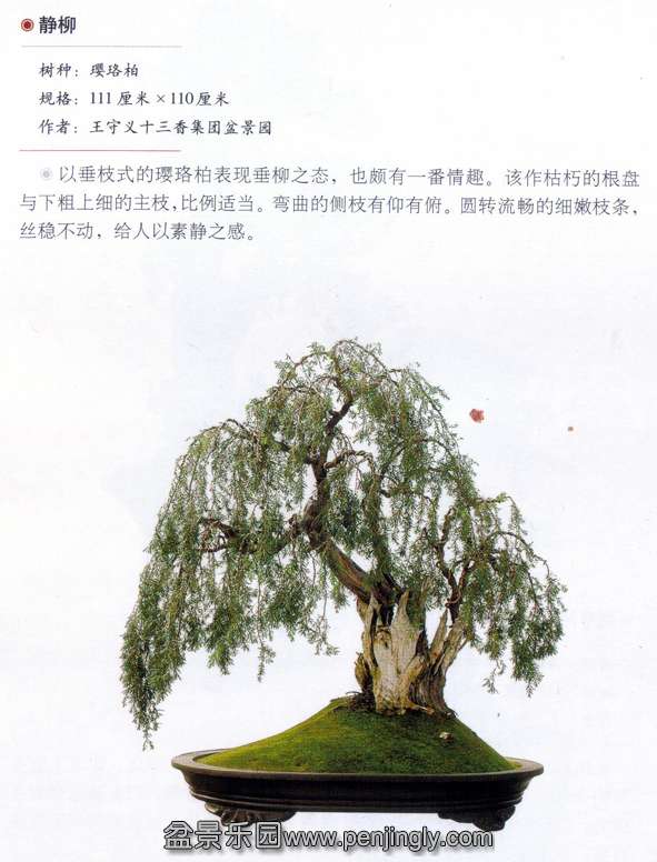 辰԰.jpg