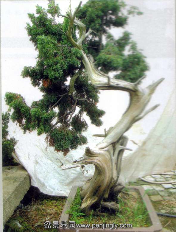 ѡ-ӣءľ08-10 .jpg