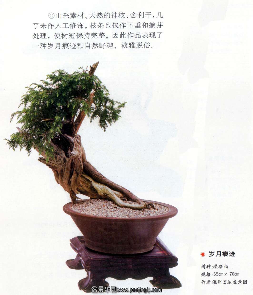 ݺ辰԰ ºۼ .jpg