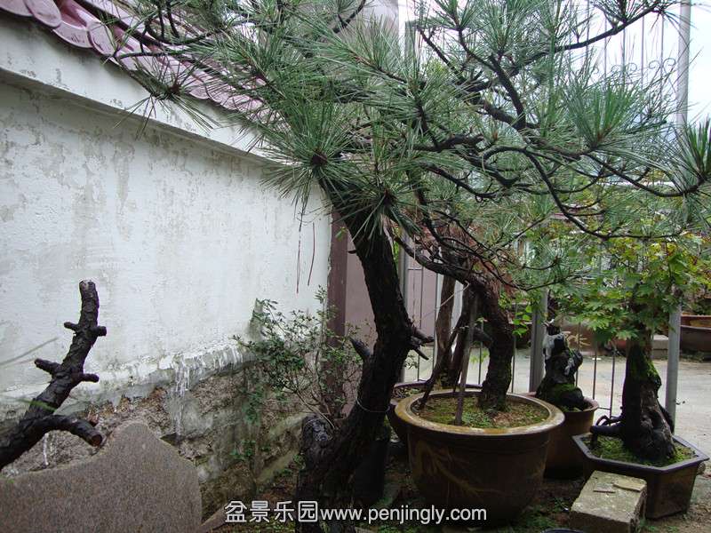 DSC01383_.jpg