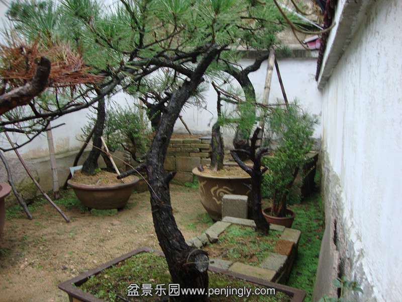 DSC01384_.jpg