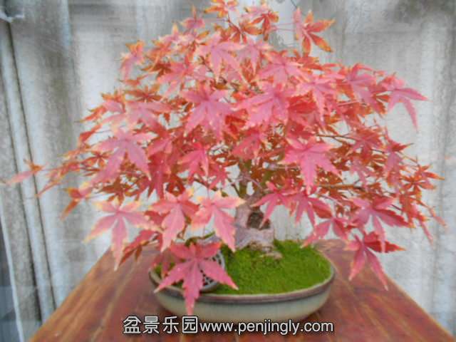 Ƭ 067.jpg