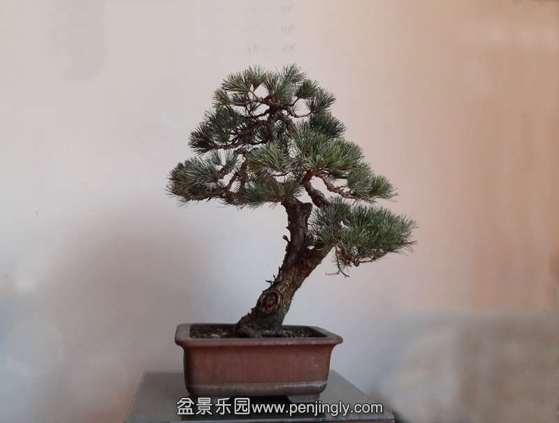 003 ����.jpg