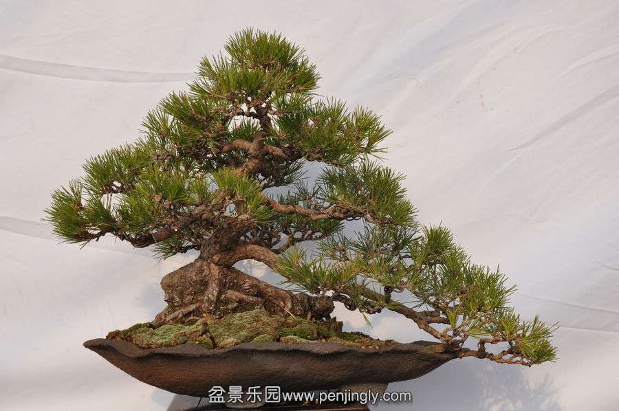 ҵ辰 082.jpg