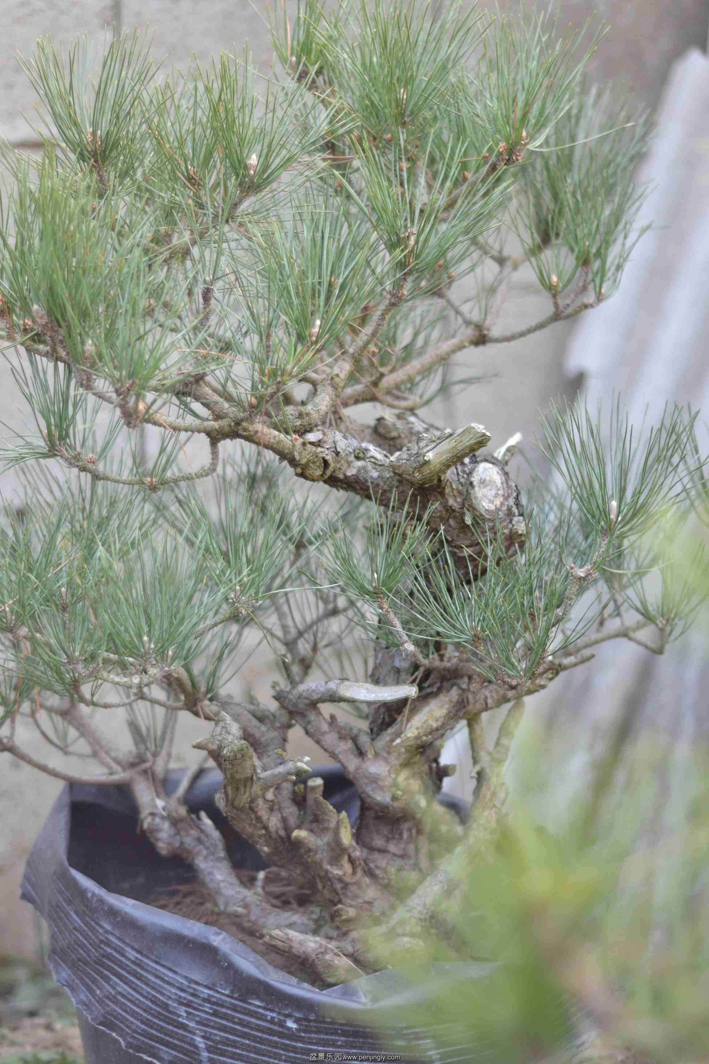 2013-12-19ز 009.jpg