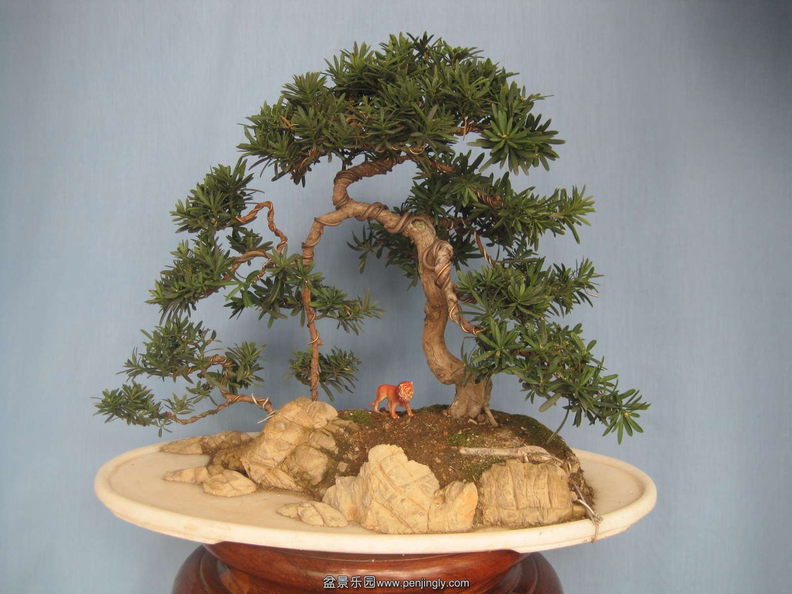 ˮ�� ȸ���޺���.jpg