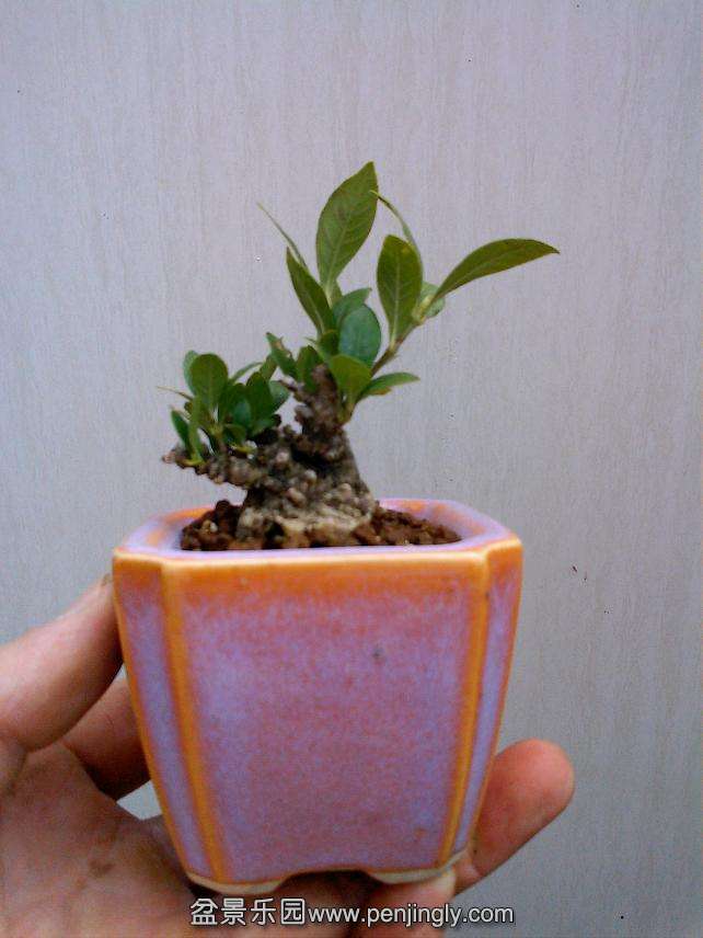 IMG1218124400.jpg