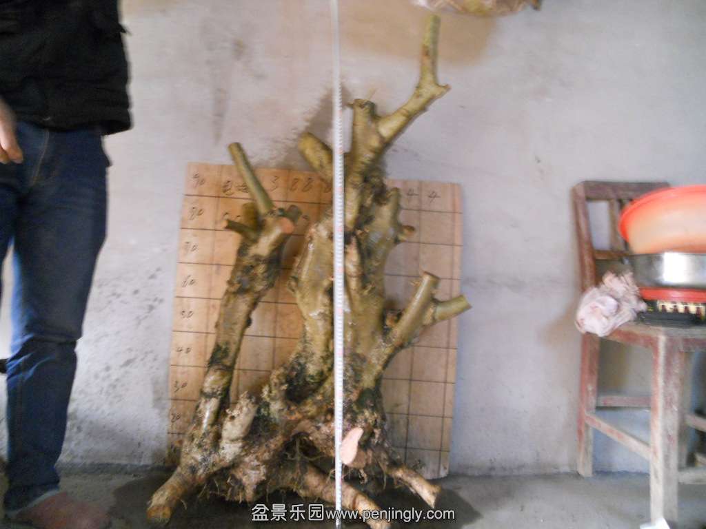 DSCN6025.JPG