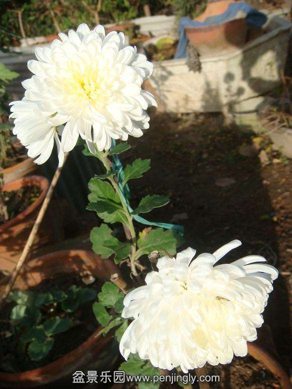 DSC06188.JPG