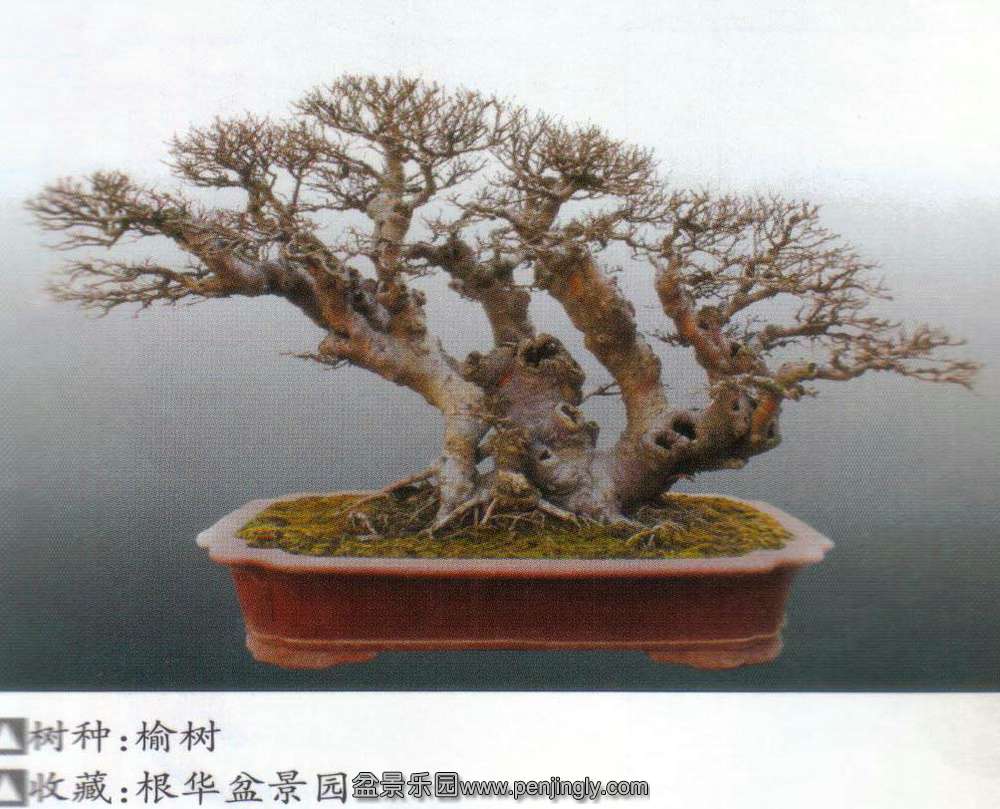 ݸ辰԰-.jpg