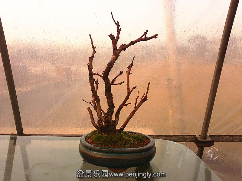 20131224624_.jpg