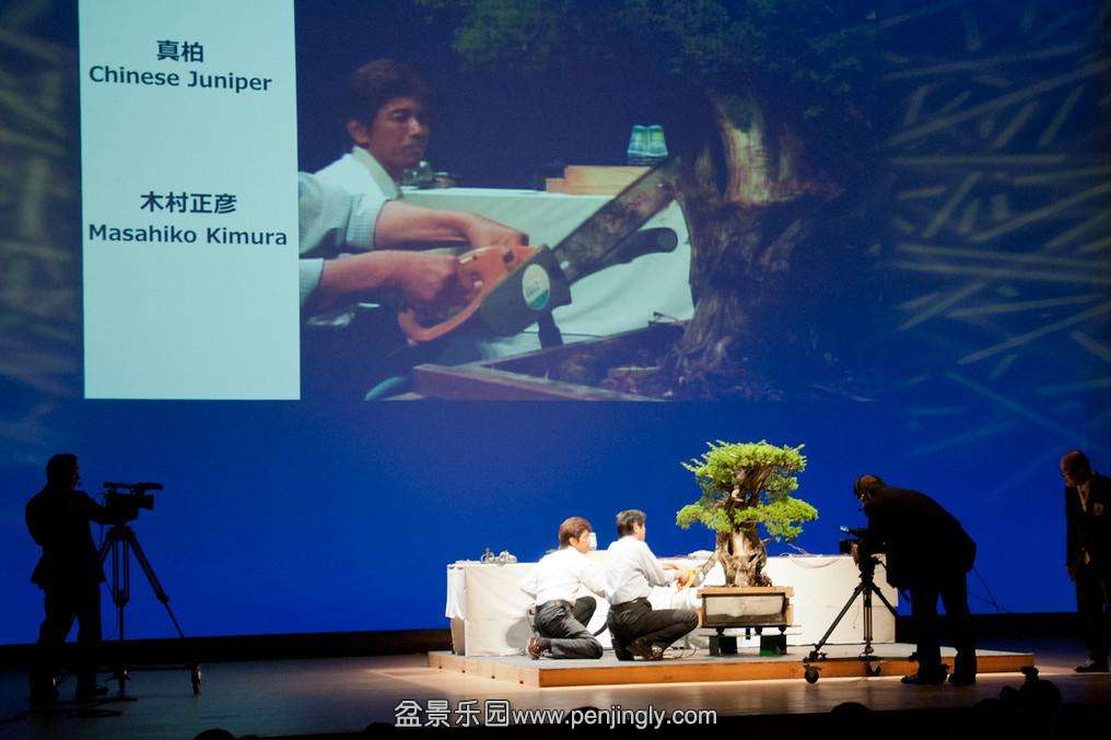 辰6.jpg