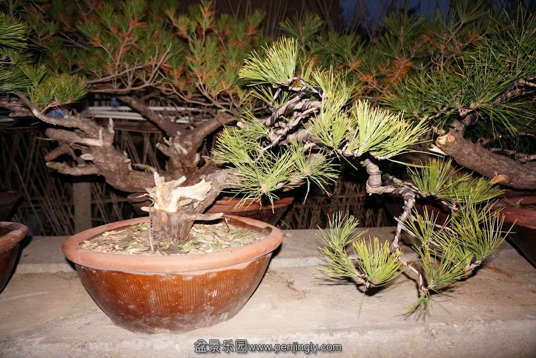 DSC00222.JPG