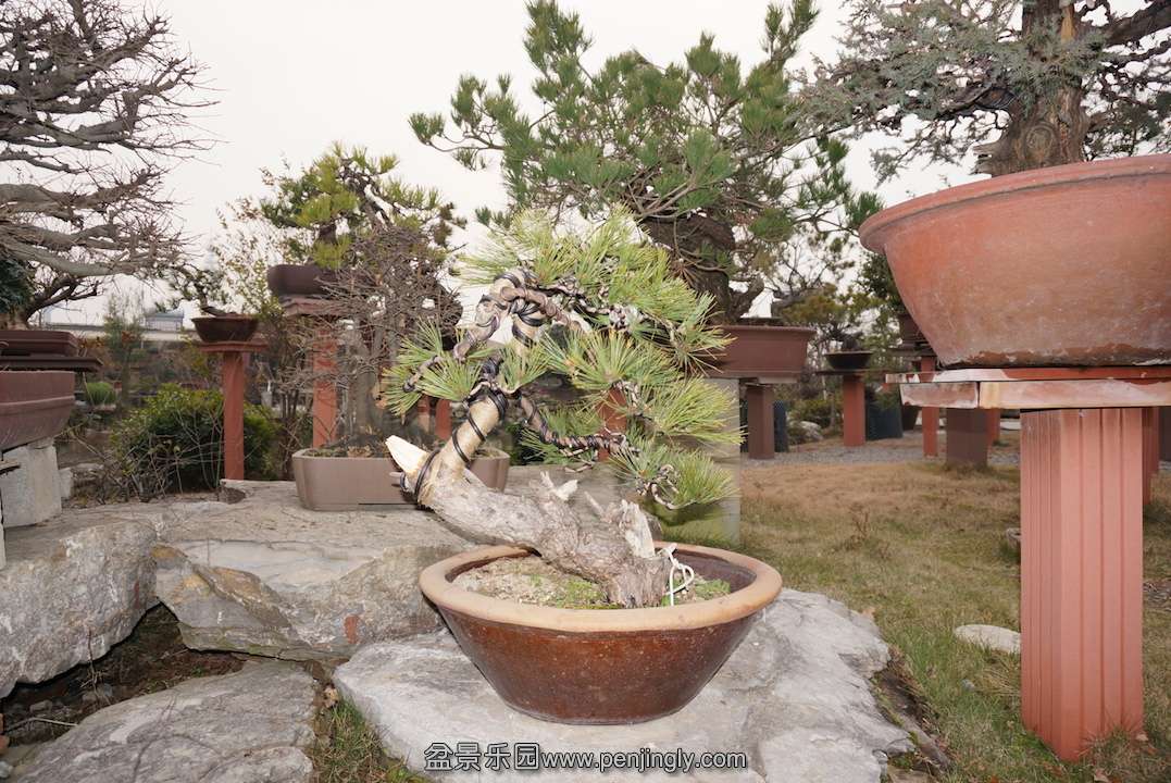 DSC00254.JPG