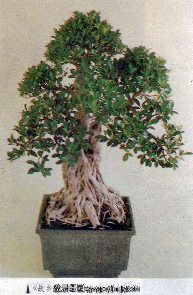 º-.jpg