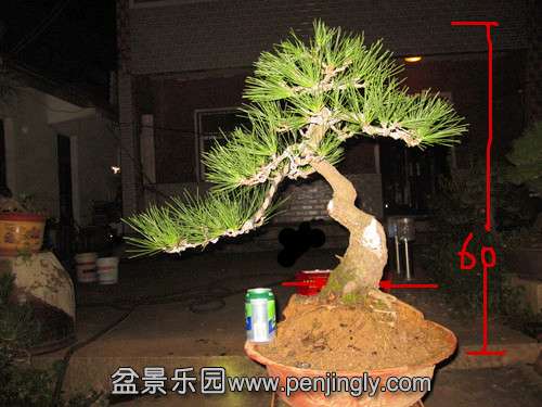 IMG_5798__.jpg
