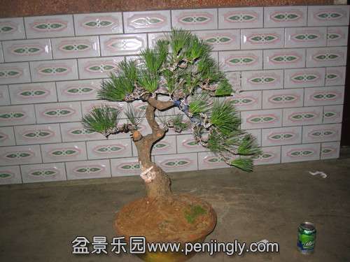 IMG_5912_.jpg
