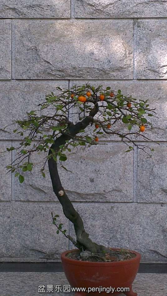 ѻ112 (536x950).jpg