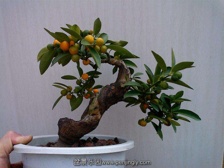 IMG1218123901.jpg