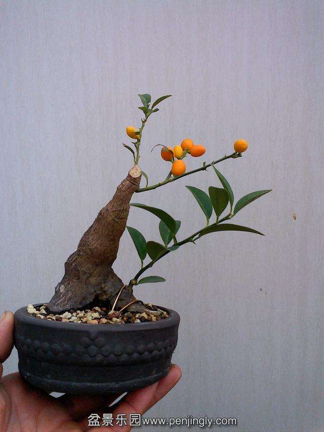 IMG1218140300.jpg