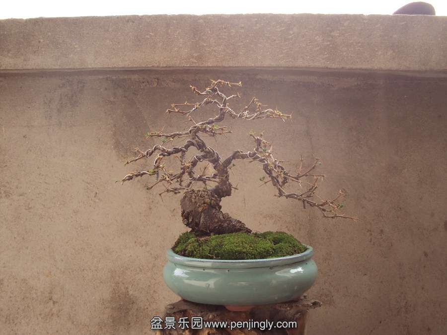 DSC03262.JPG