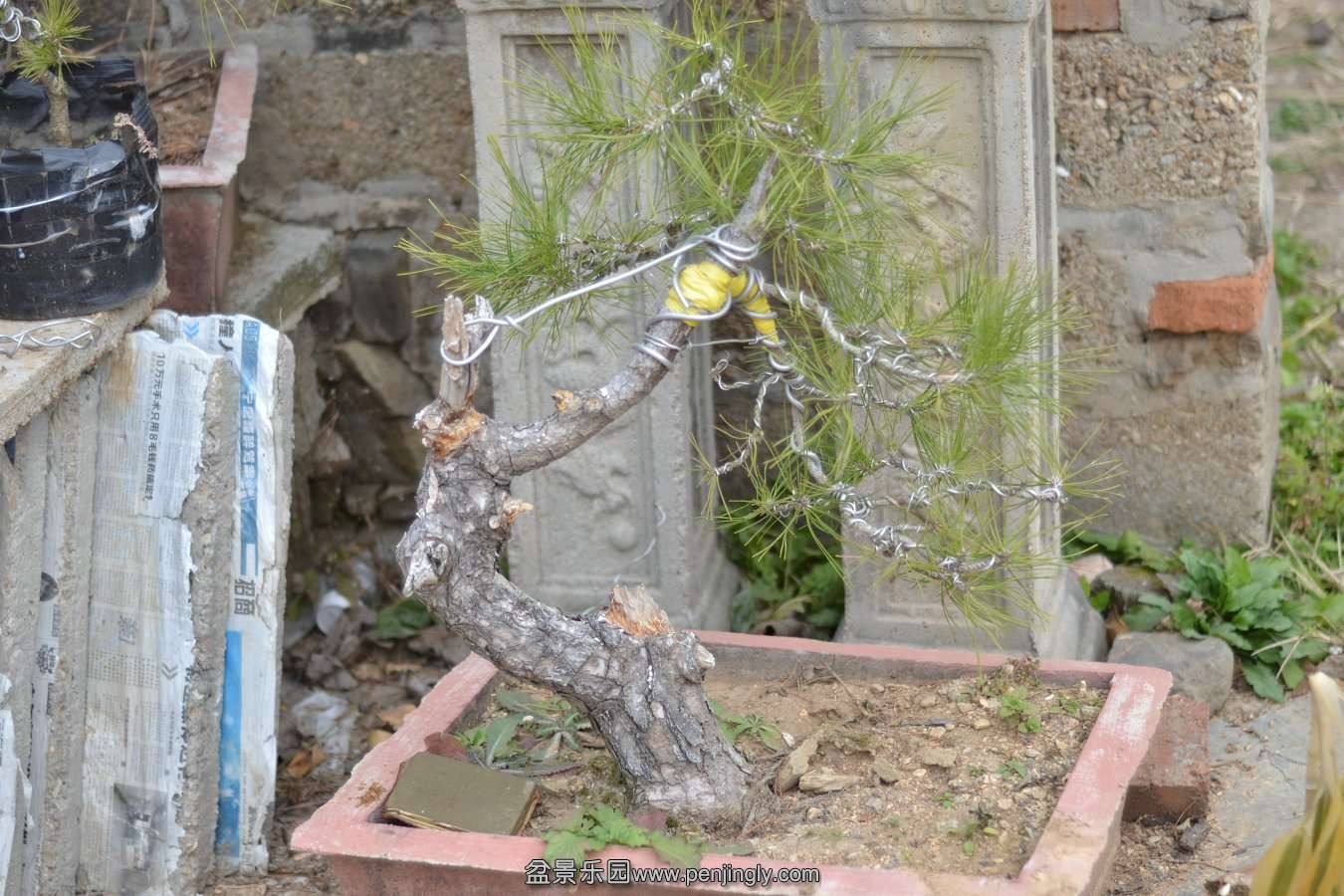 13-12-06СƷ�� 072.jpg