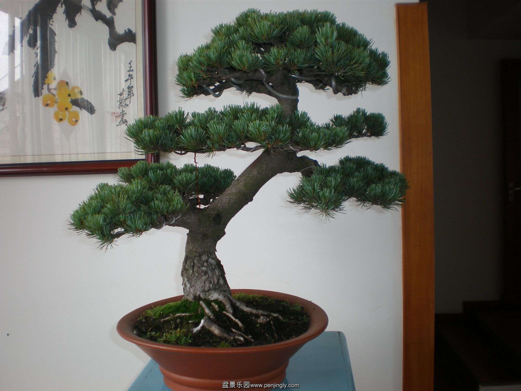P1010142_.jpg