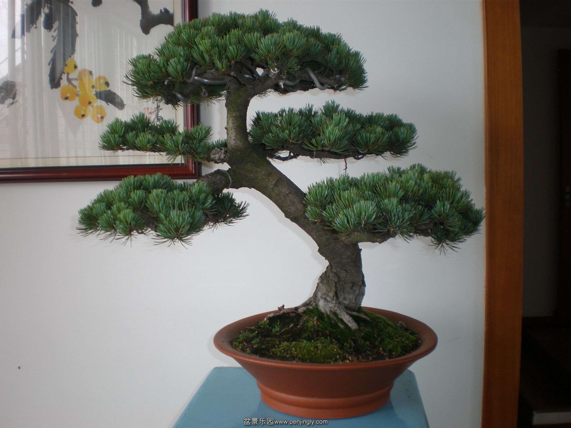P1010143_.jpg