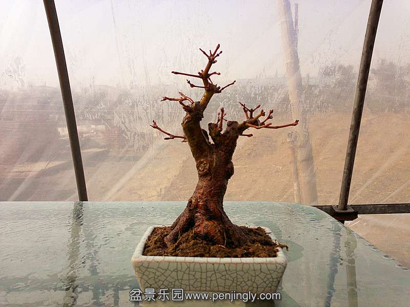 20131228631_.jpg