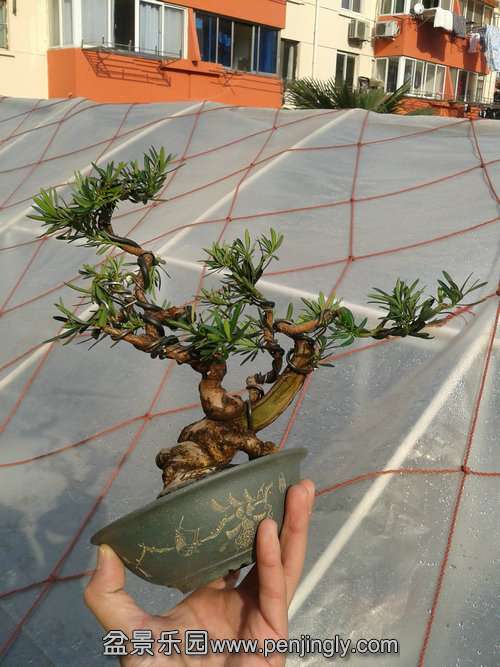 2013-12-28 13.37.10.jpg