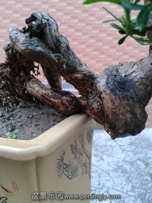 2013-11-08 16.44.20.jpg