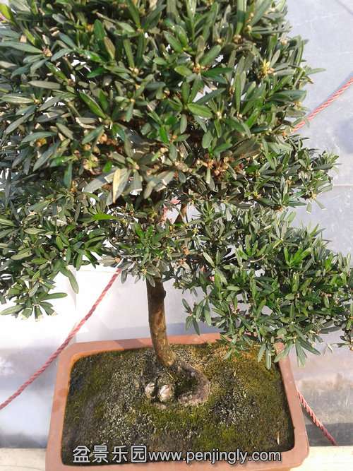 2013-12-28 14.05.14.jpg