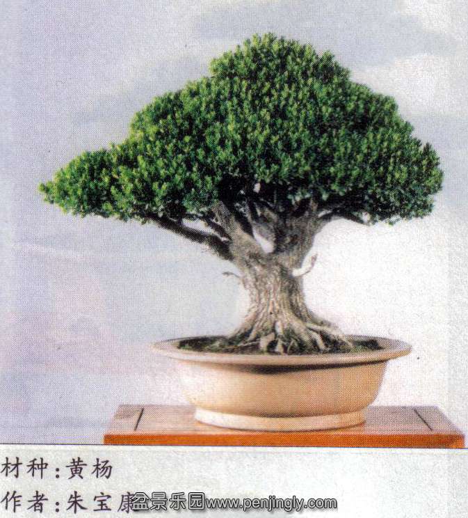 辰-챦-.jpg