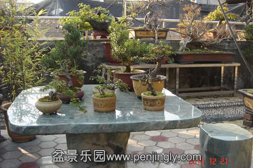 DSC04670_.jpg