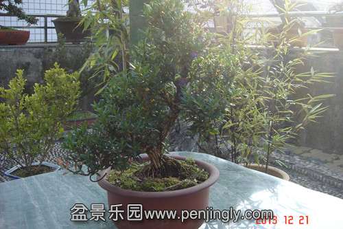 DSC04665_.jpg