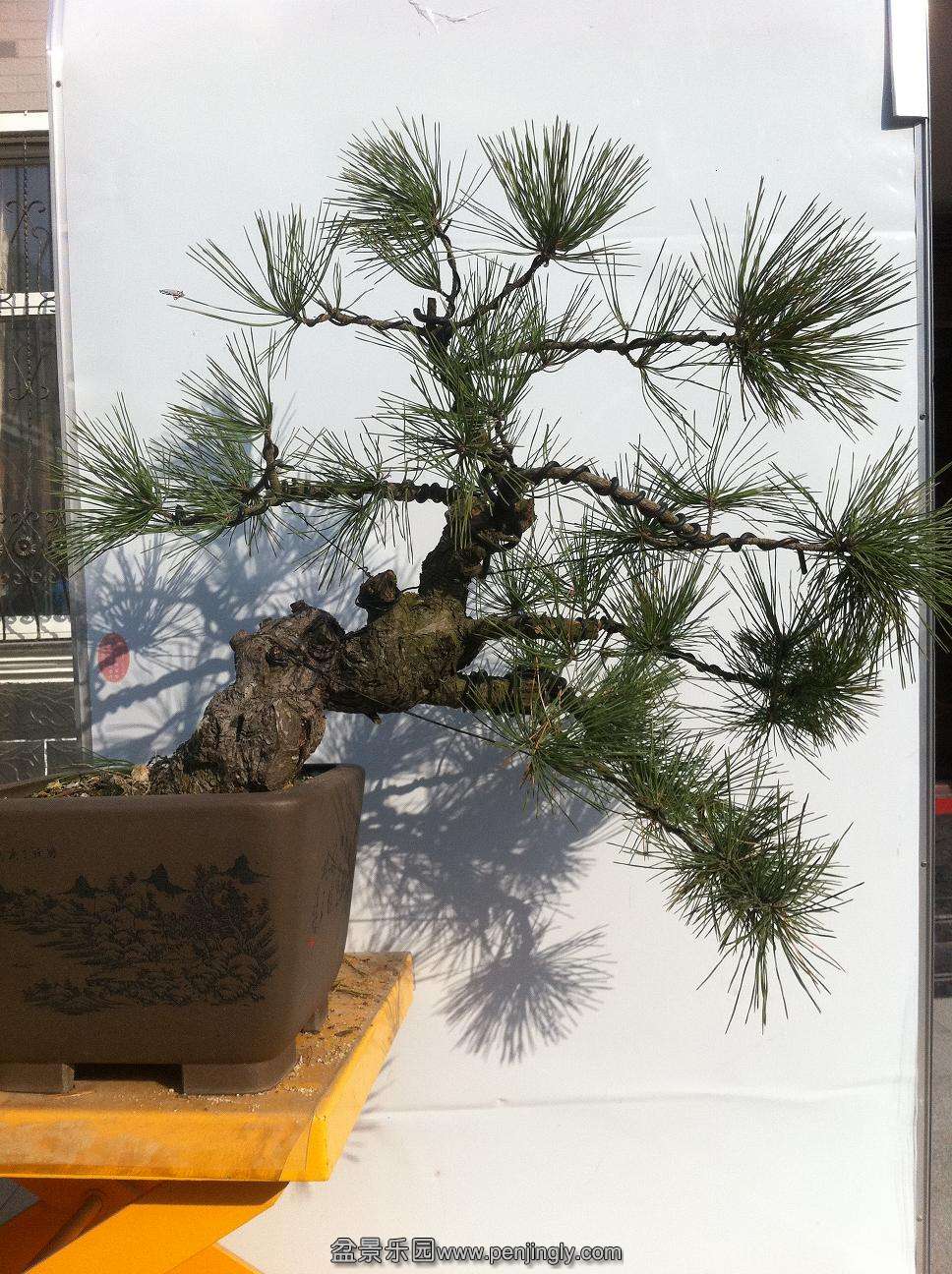 20131228����600. 005.jpg