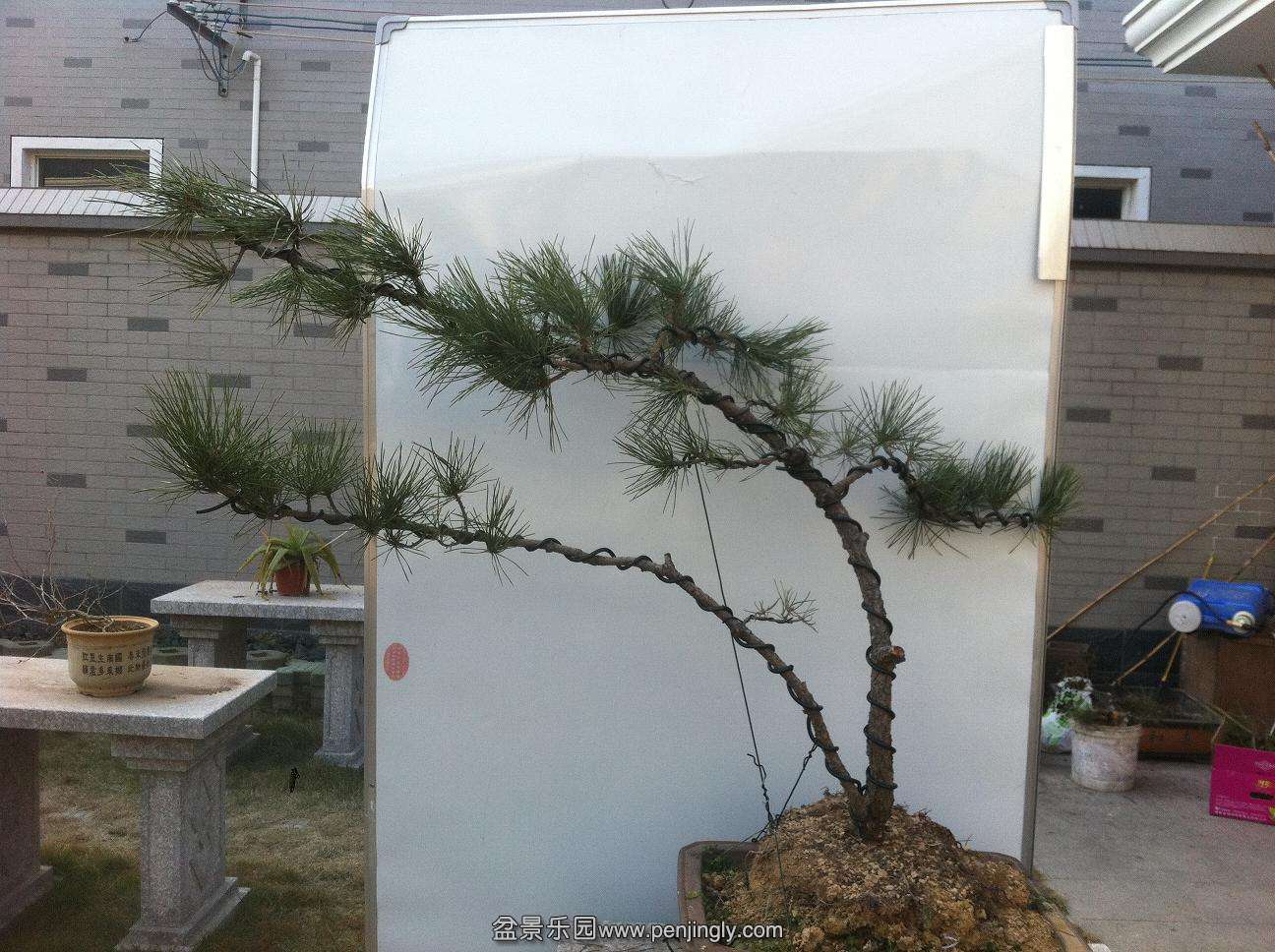 20131228300. 007.jpg