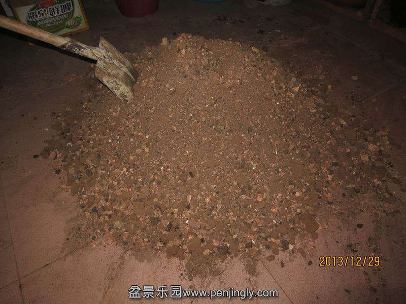 33.jpg