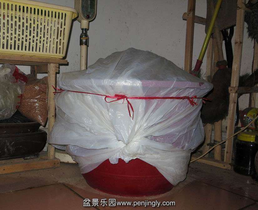 66.jpg