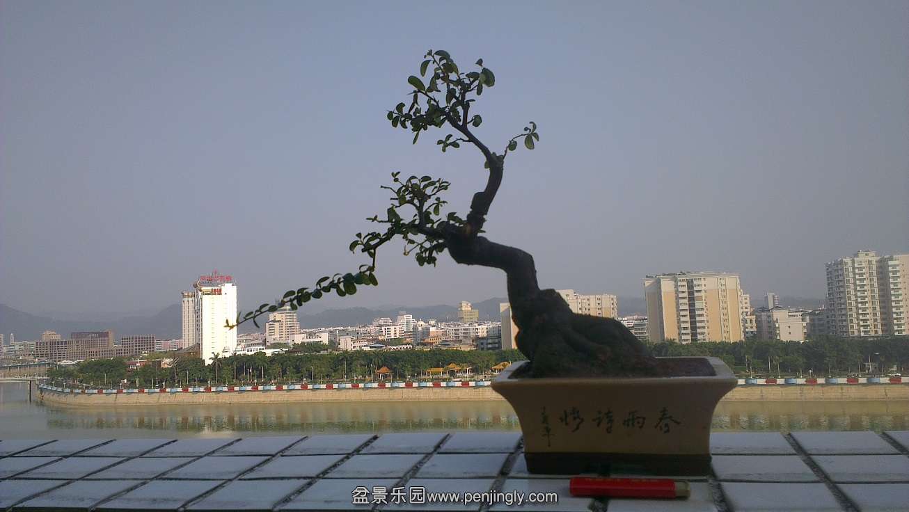 IMAG1265.jpg