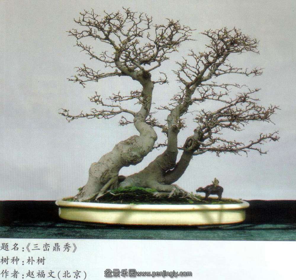8̫չ-Ը-.jpg