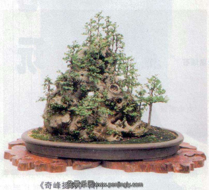 --05-10.jpg
