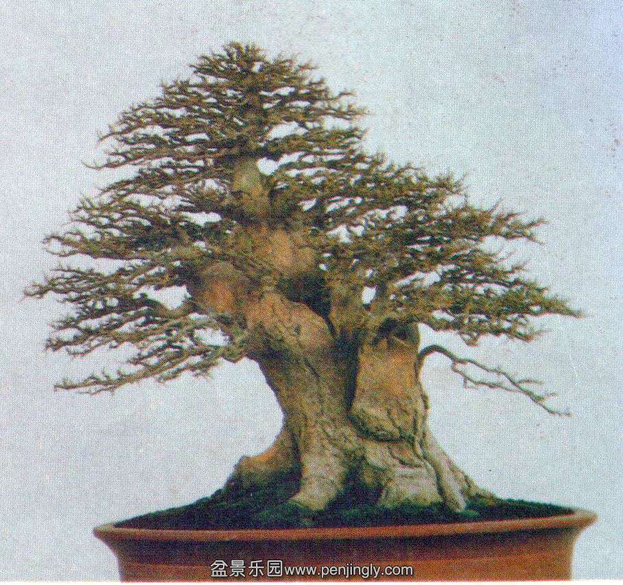 ½ľ ̨-ʯ.jpg