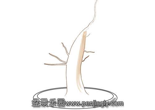ATDeciduousBonsaiBranches_html_1e705fbd.jpg