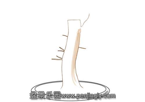 ATDeciduousBonsaiBranches_html_213a09c8.jpg