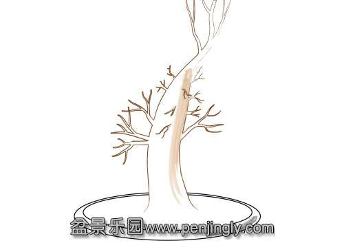ATDeciduousBonsaiBranches_html_610a2dda.jpg